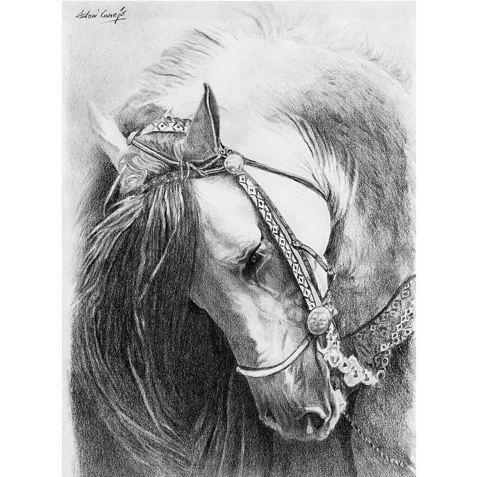 Dibujo de caballo