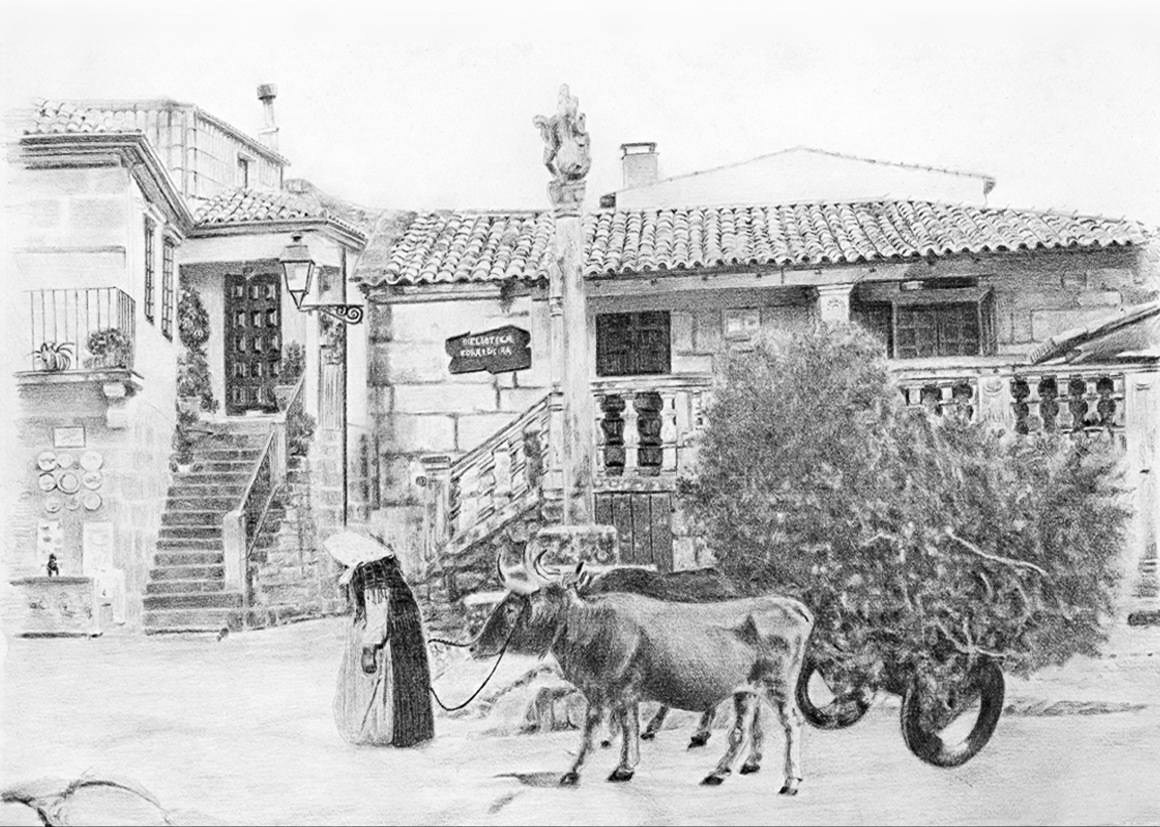 Combarro mujer gallega con bueyes dibujo