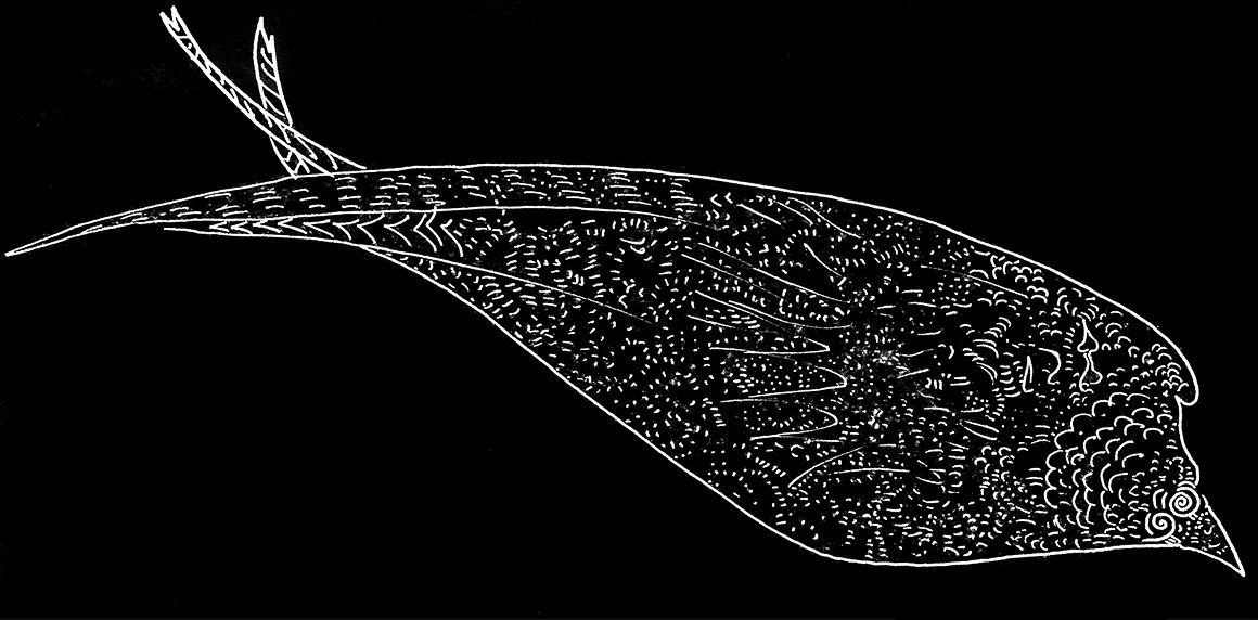 Golondrina apunte de dibujo etnico