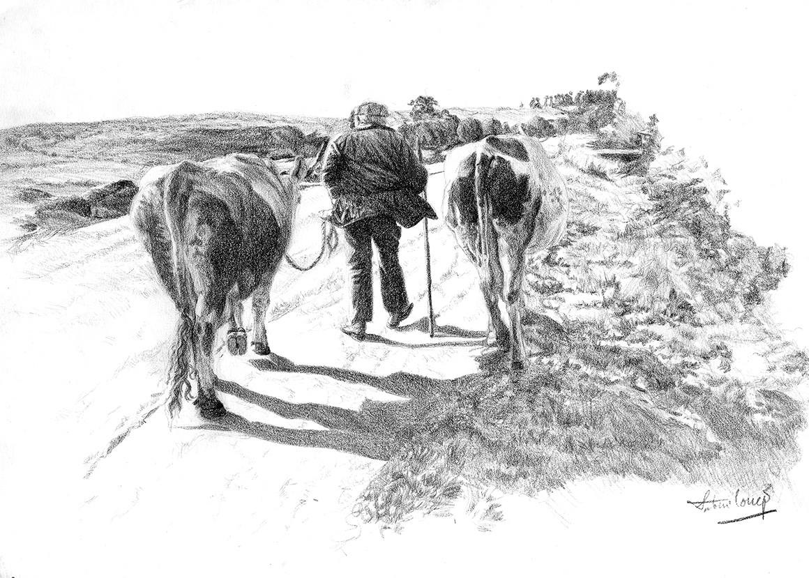 Campesino con vacas de espaldas, asturias  dibujo 