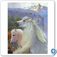 estudio de caballos blancos pintura